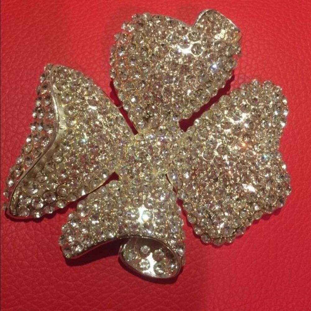 Beautiful brooch - Cache - NWOT